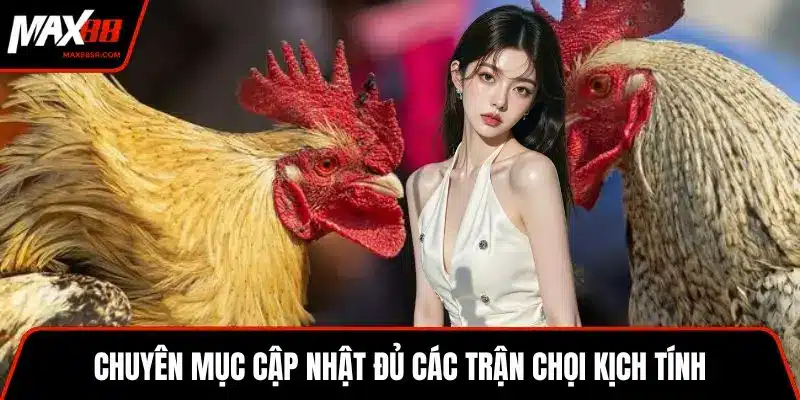 Chuyên mục cập nhật đủ các trận chọi kịch tính