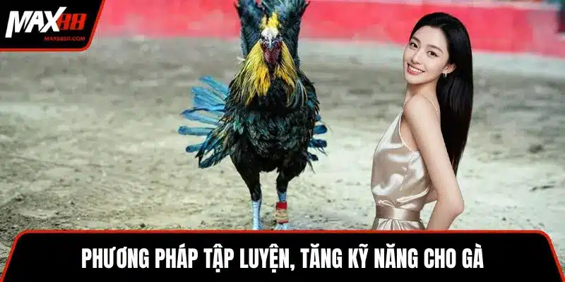 Phương pháp tập luyện, tăng kỹ năng cho gà