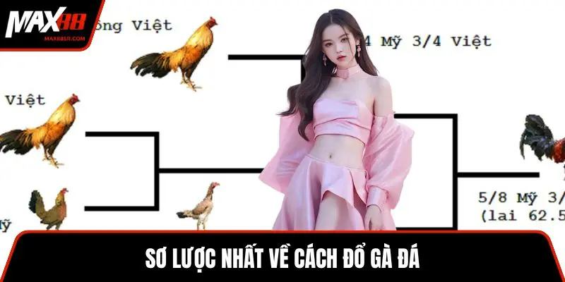 Sơ lược nhất về cách đổ gà đá